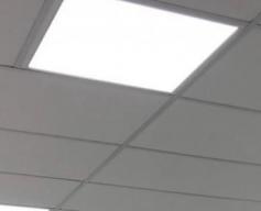 Lã de Pet