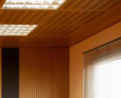 Nexacustic